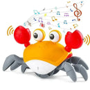 Caranguejo Divertido - GR Store