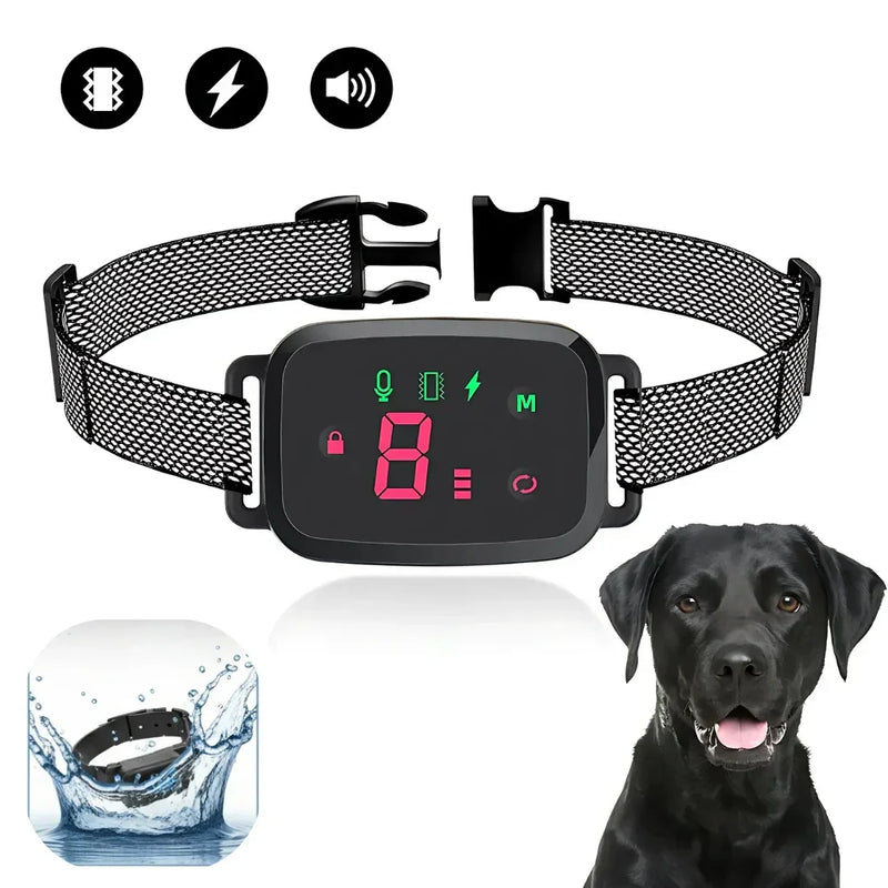 Coleira de Treinamento para Cães Anti-Latido sem Dor - QuietPet Pro - GR Store