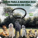 DogZen Smart - Coleira de Treino para deixar seu Cão Calmo, Obediente e Feliz - GR Store