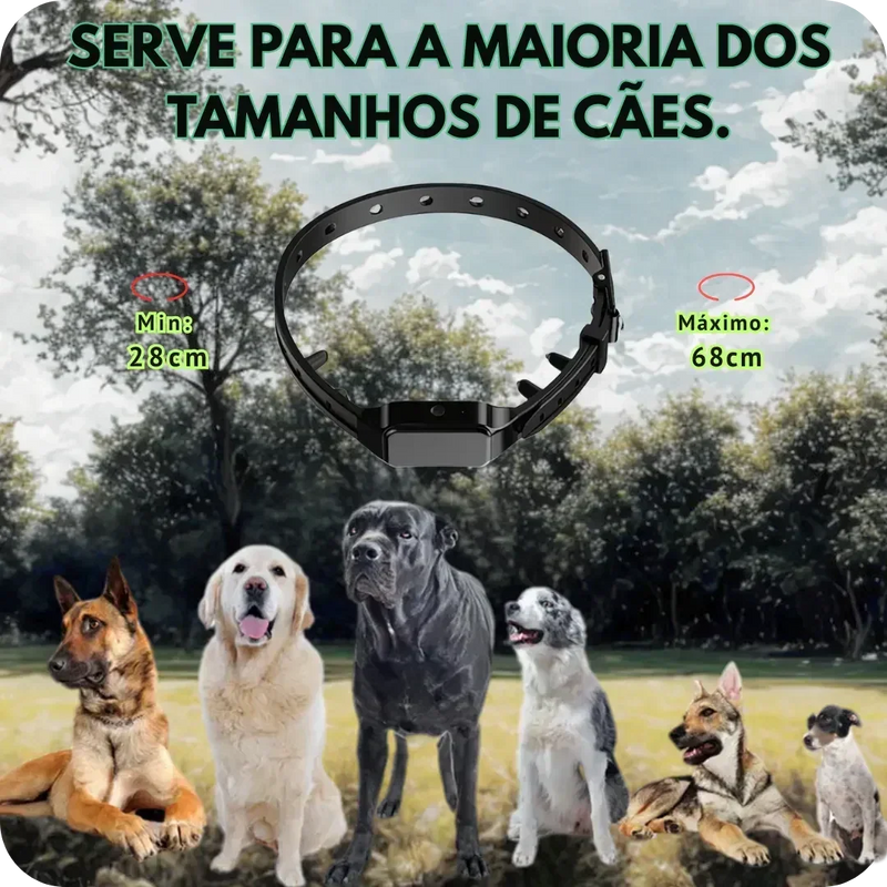 DogZen Smart - Coleira de Treino para deixar seu Cão Calmo, Obediente e Feliz - GR Store