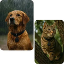 Smart Tag BlueTooth Find4You – Localizador Inteligente a prova d'água compatível com Android - GR Store