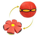 Brinquedo Voador para Cães com Função 2 em 1 - GR Store