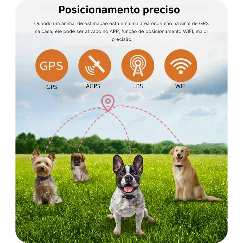 Rastreador GPS para Pets à Prova d'água e Monitoramento Global - Pet Finder4you - GR Store