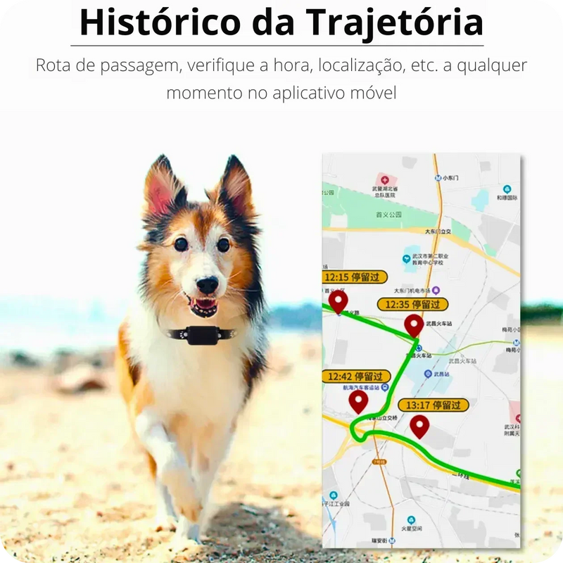 Rastreador GPS para Pets à Prova d'água e Monitoramento Global - Pet Finder4you - GR Store