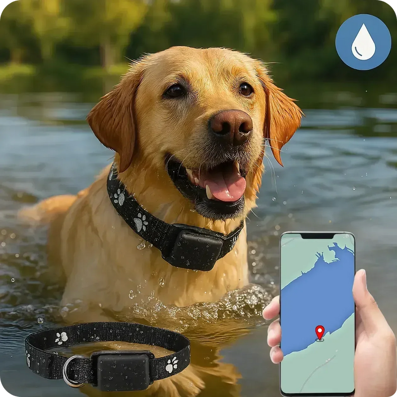 Rastreador GPS para Pets à Prova d'água e Monitoramento Global - Pet Finder4you - GR Store