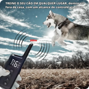 DogZen Smart - Coleira de Treino para deixar seu Cão Calmo, Obediente e Feliz - GR Store