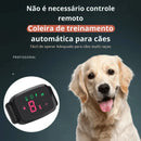 Coleira de Treinamento para Cães Anti-Latido sem Dor - QuietPet Pro - GR Store