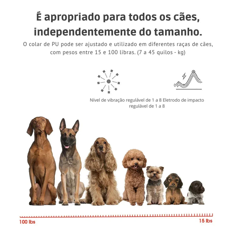 Coleira de Treinamento para Cães Anti-Latido sem Dor - QuietPet Pro - GR Store