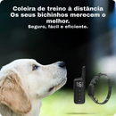 DogZen Smart - Coleira de Treino para deixar seu Cão Calmo, Obediente e Feliz - GR Store
