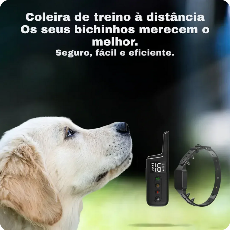 DogZen Smart - Coleira de Treino para deixar seu Cão Calmo, Obediente e Feliz - GR Store